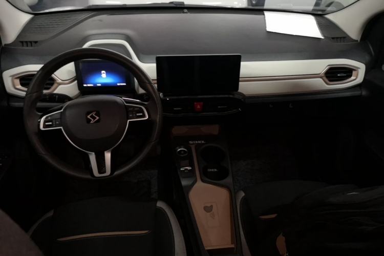 Used SOL E10X 2021 302 km Range Fashion Edition 31.4 kWh Center Console