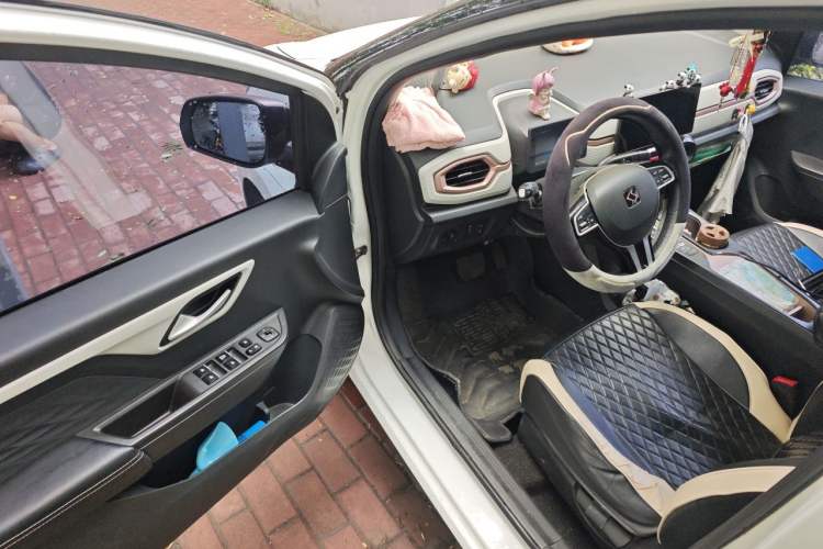 Used SOL E10X 2021 302 km Range Fashion Edition 31.4 kWh Driver Seat