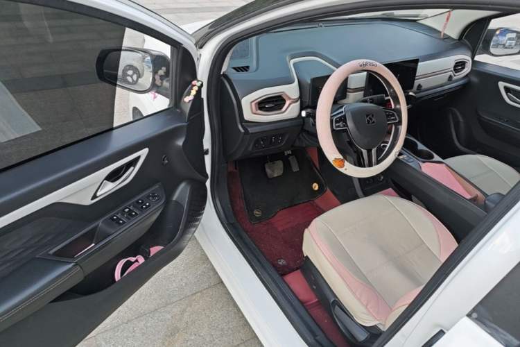 Used SOL E10X 2021 302km Range Superior Version 30.2 kWh Driver Seat