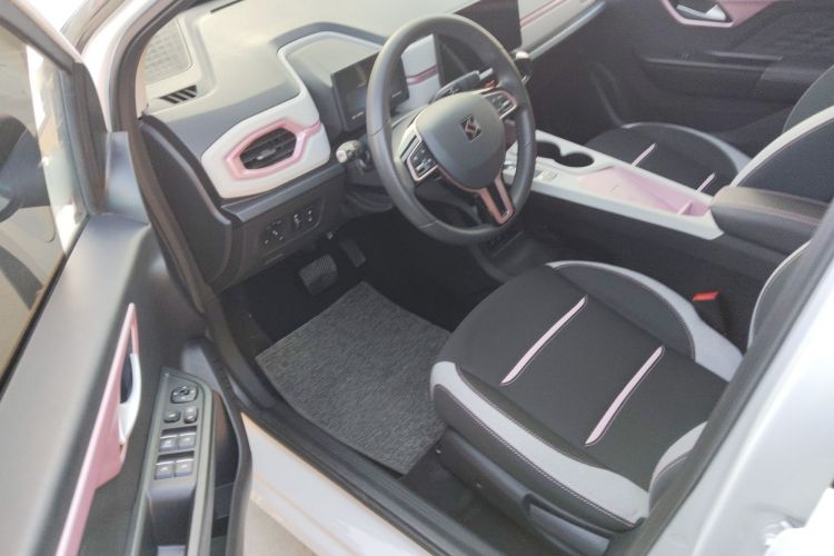Used SOL E10X 2021 302 km Range Luxury Version 30.2 kWh Driver Seat