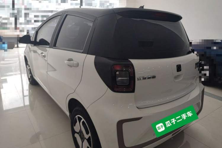 Used SOL E10X 2021 302 km Range Luxury Version 31.4 kWh Exterior 3