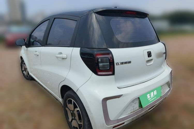 Used SOL E10X 2021 302 km Range Luxury Version 31.4 kWh Exterior 4