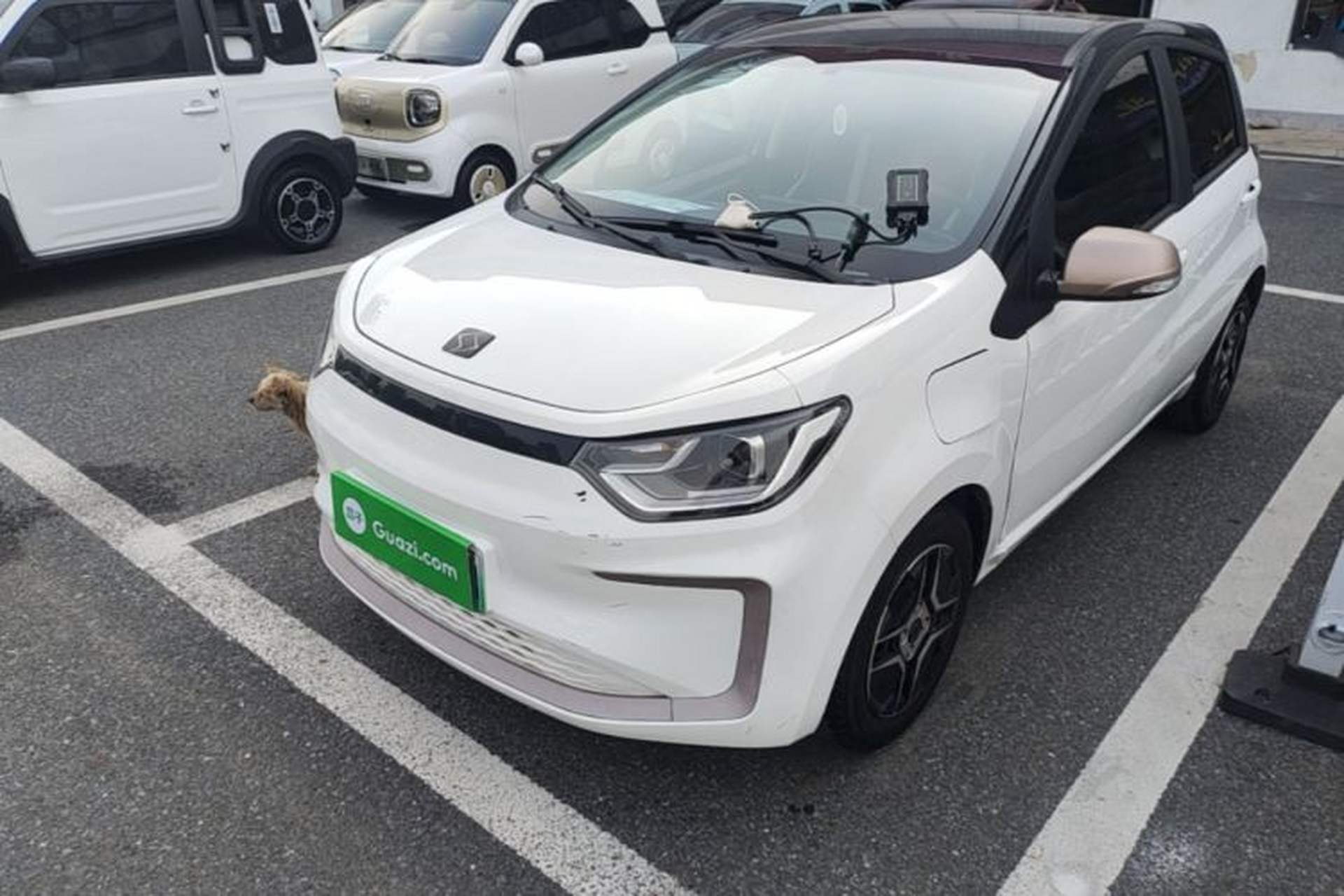 Used SOL E10X 2021 302 km Range Fashion Edition 30.2 kWh Front Left 45 Deg