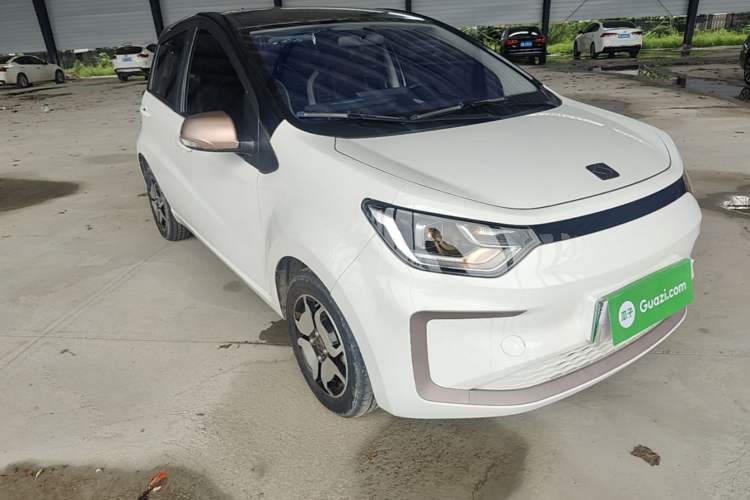 Used SOL E10X 2021 302 km Range Ultra-Advanced Version 31.4 kWh Front Right 45 Deg