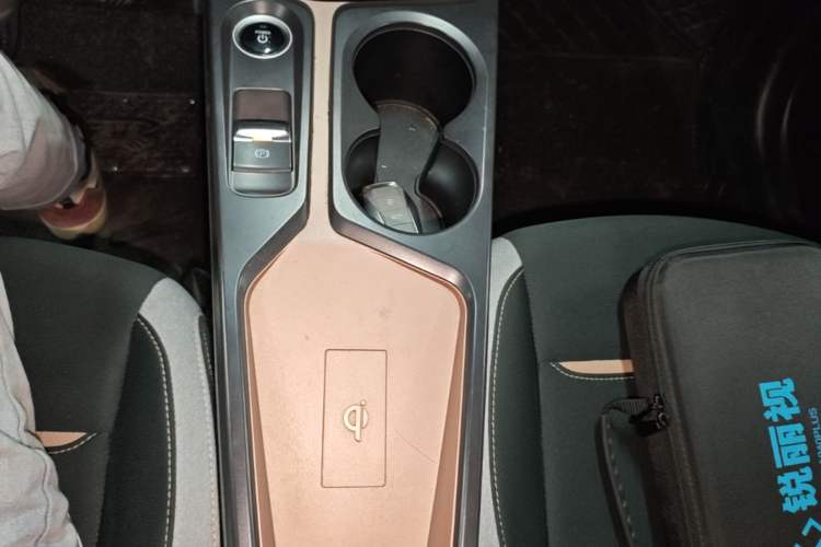 Used SOL E10X 2021 302 km Range Luxury Version 30.2 kWh Gear Lever