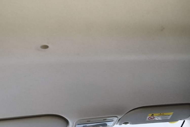 Used SOL E10X 2021 302 km Range Fashion Edition 31.4 kWh Headliner