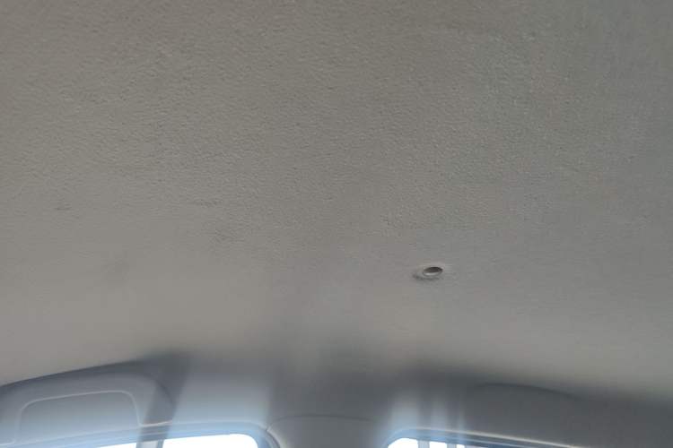 Used SOL E10X 2021 302 km Range Ultra-Advanced Version 31.4 kWh Headliner