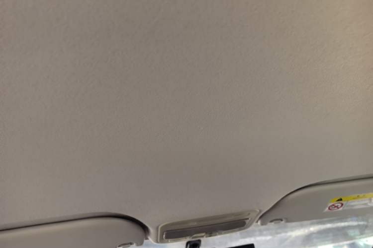 Used SOL E10X 2021 302 km Range Luxury Version 31.4 kWh Headliner