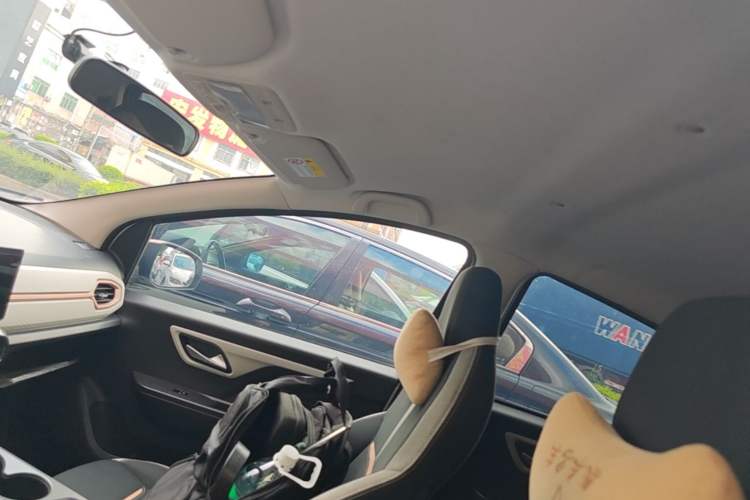 Used SOL E10X 2021 302 km Range Fashion Edition 31.4 kWh Headliner