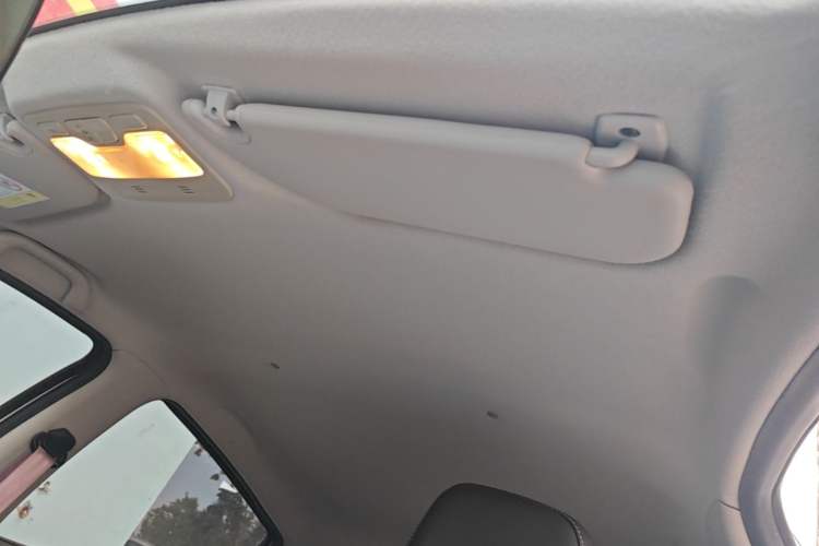 Used SOL E10X 2021 302 km Range Fashion Edition 31.4 kWh Headliner