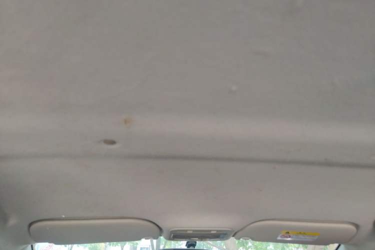 Used SOL E10X 2021 302km Range Superior Version 30.2 kWh Headliner
