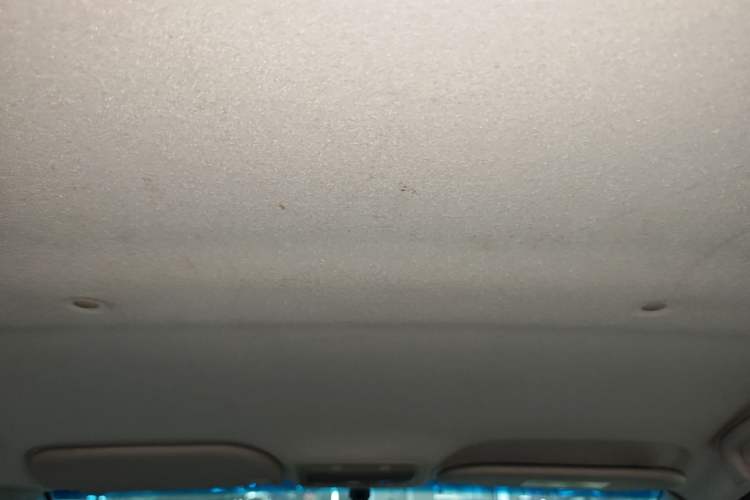 Used SOL E10X 2021 302 km Range Luxury Version 30.2 kWh Headliner