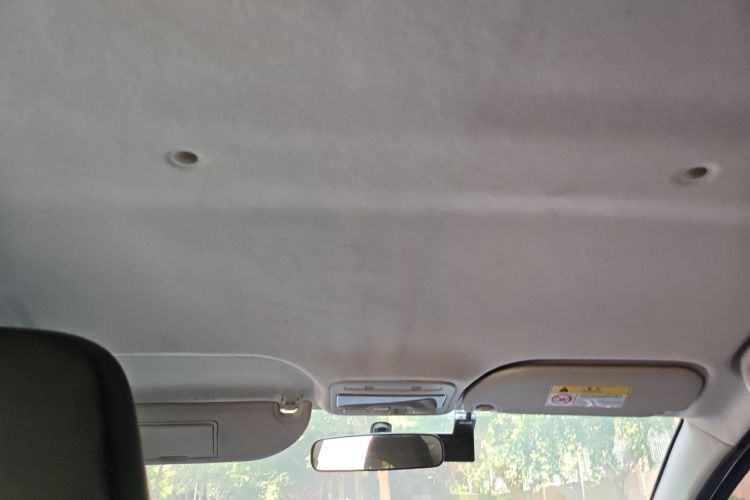 Used SOL E10X 2021 302 km Range Fashion Edition 31.4 kWh Headliner