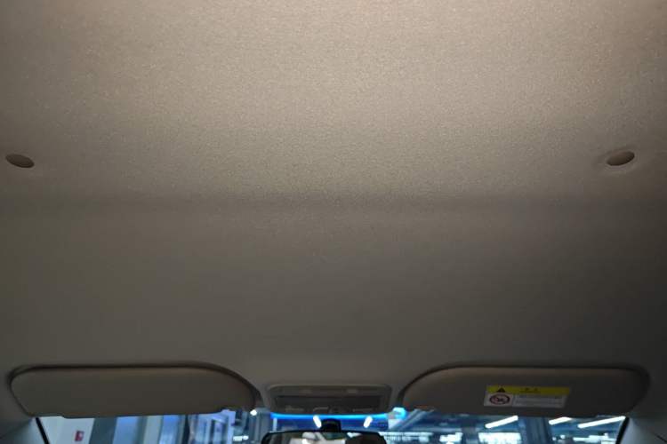 Used SOL E10X 2021 302 km Range Fashion Edition 31.4 kWh Headliner