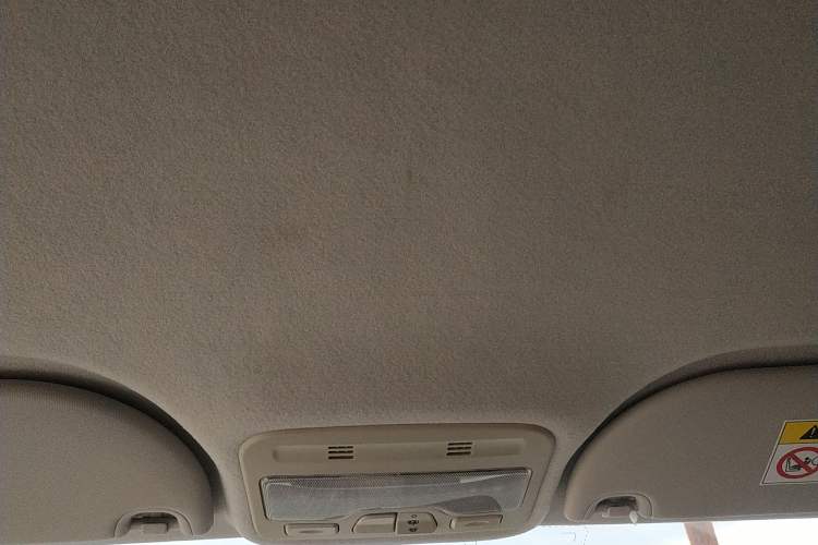 Used SOL E10X 2021 302 km Range Luxury Version 31.4 kWh Headliner