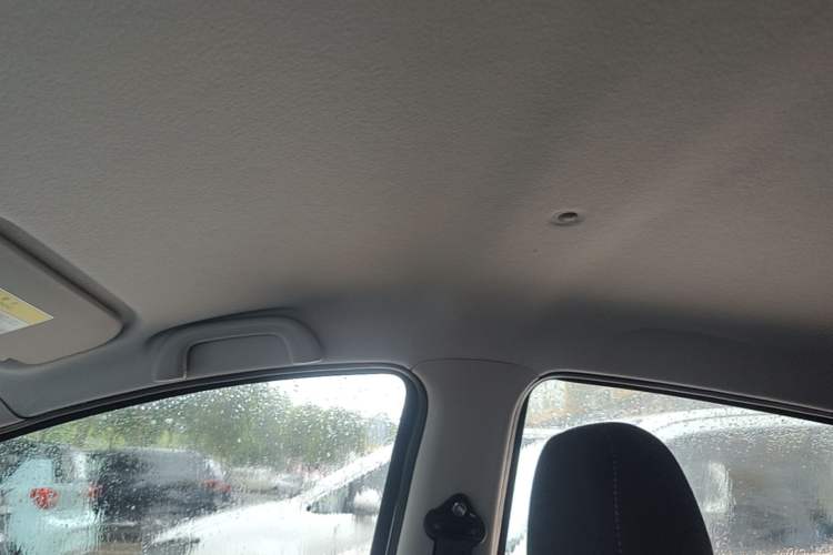 Used SOL E10X 2021 302 km Range Fashion Edition 31.4 kWh Headliner