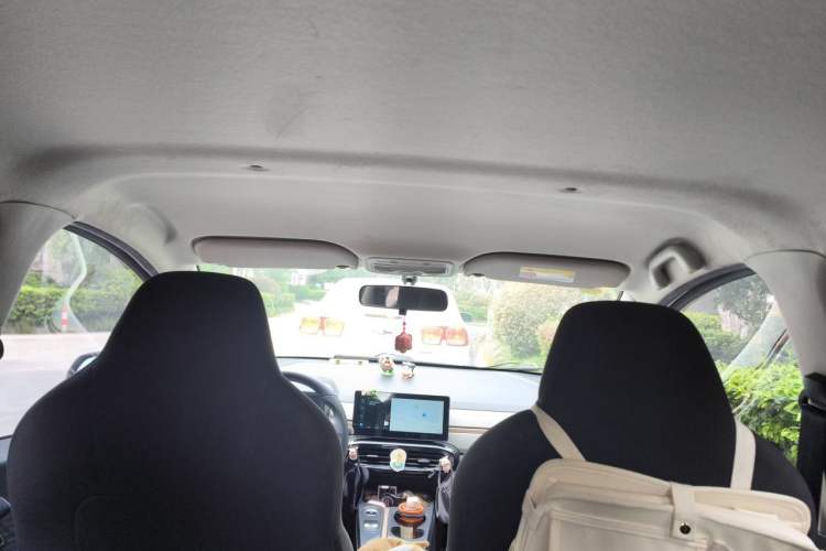 Used SOL E10X 2021 302 km Range Luxury Version 30.2 kWh Headliner
