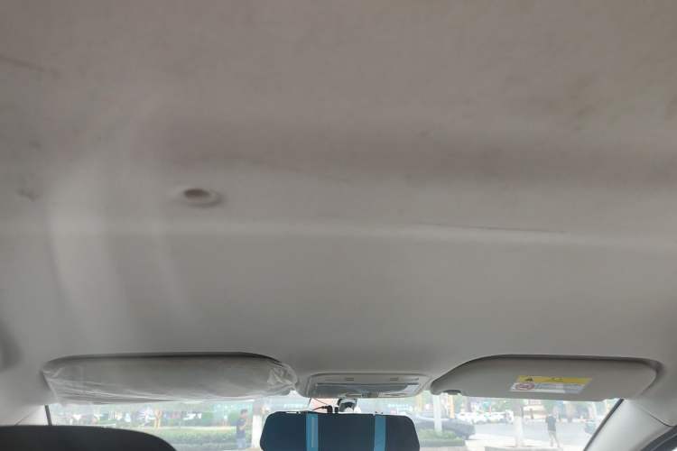 Used SOL E10X 2021 302 km Range Luxury Version 30.2 kWh Headliner