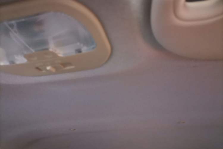 Used SOL E10X 2021 200km Comfort Edition Headliner