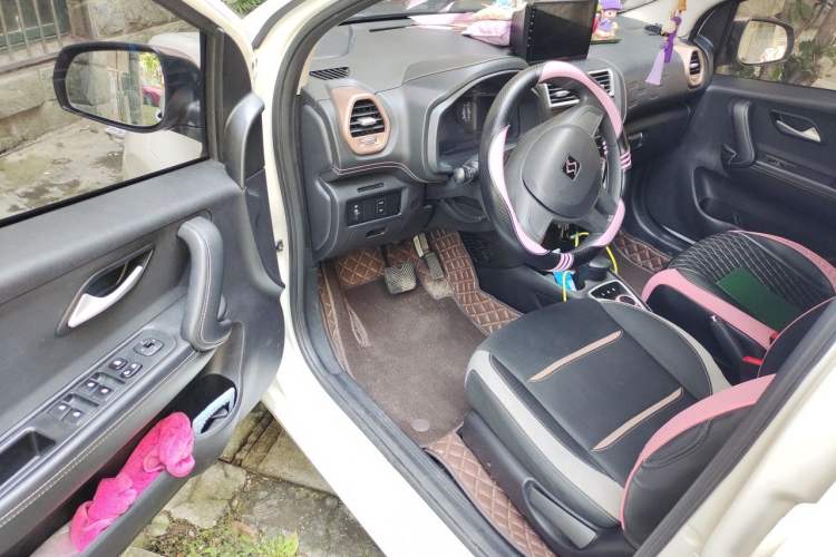 Used SOL E10X 2021 150 km Basic Version Interior 3