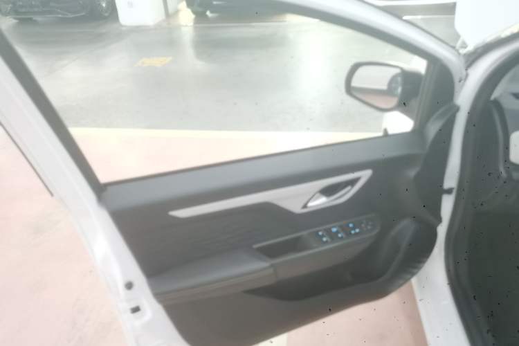 Used SOL E10X 2021 Jimei Edition 302km Fashionable Model Left Front Door Interior
