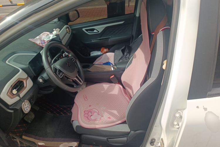 Used SOL E10X 2021 Jimei Edition 302km Fashionable Model Left Front Seat
