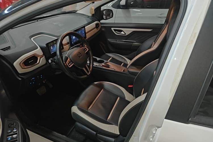 Used SOL E10X 2021 Jimei Edition 302km Luxury Model Left Front Seat