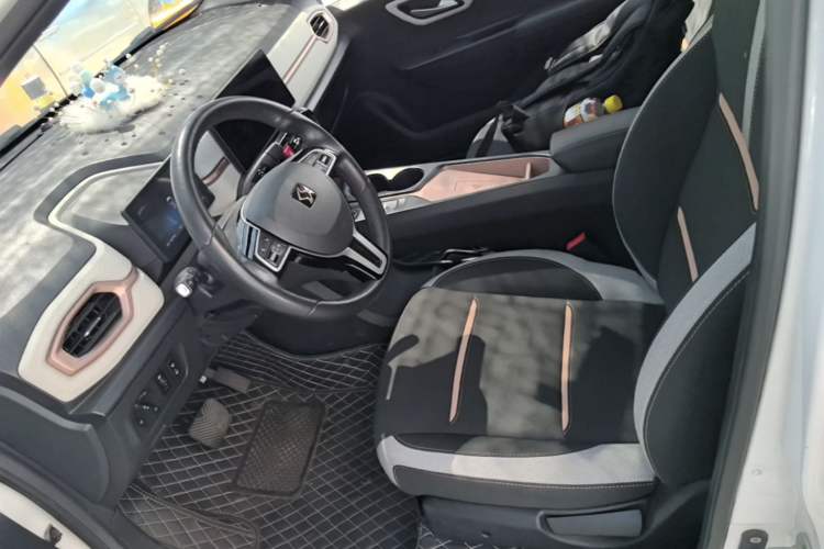 Used SOL E10X 2021 302 km Range Luxury Version 31.4 kWh Left Front Seat