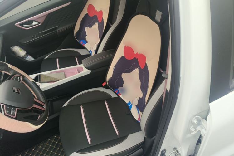 Used SOL E10X 2021 Jimei Edition 302km Luxury Model Left Front Seat