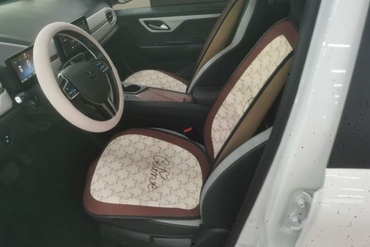 Used SOL E10X 2021 Jimei Edition 302km Fashionable Model Left Front Seat