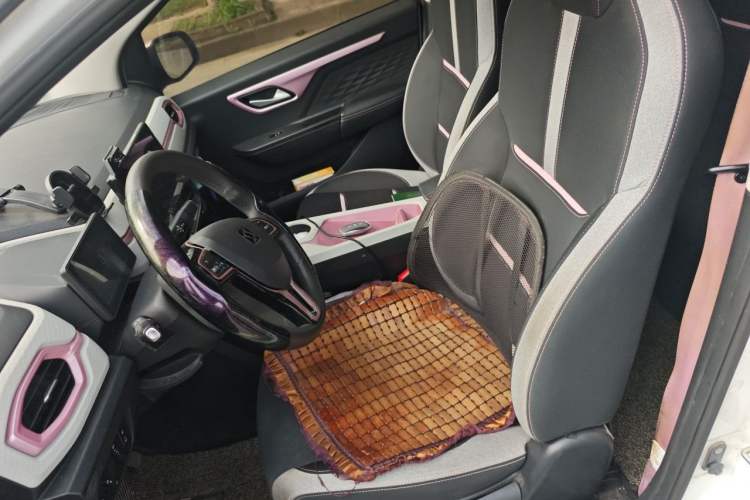 Used SOL E10X 2021 302 km Range Fashion Edition 31.4 kWh Left Front Seat
