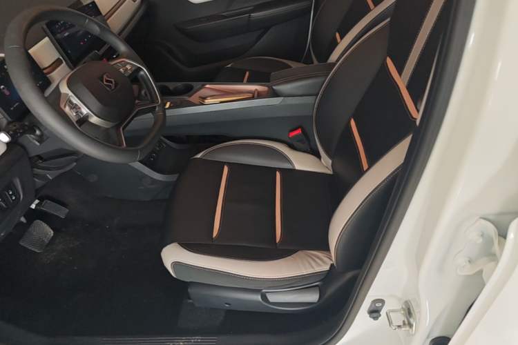 Used SOL E10X 2021 Jimei Edition 302km Luxury Model Left Front Seat