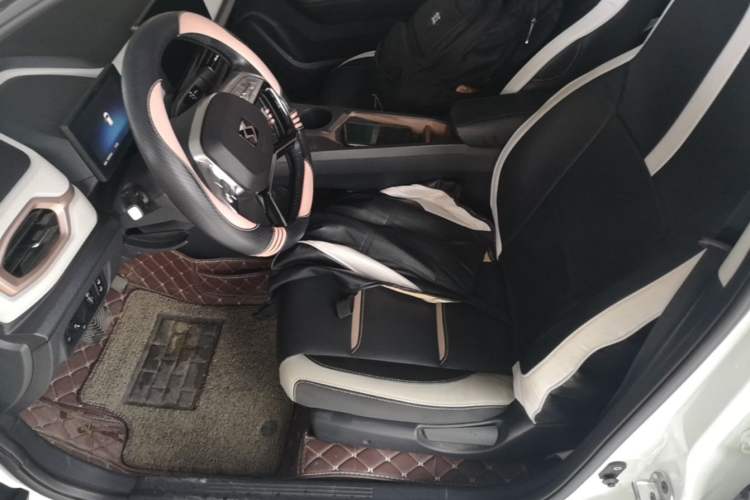 Used SOL E10X 2021 Jimei Edition 302km Luxury Model Left Front Seat