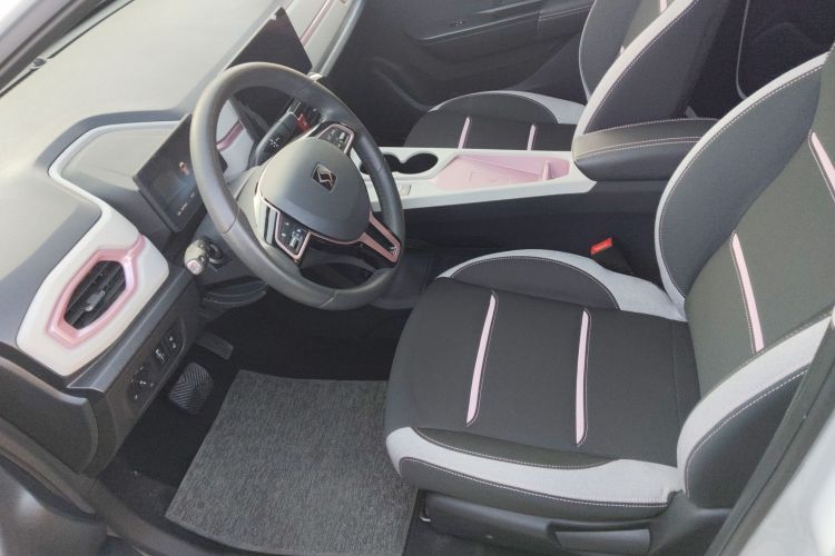 Used SOL E10X 2021 302 km Range Luxury Version 30.2 kWh Left Front Seat