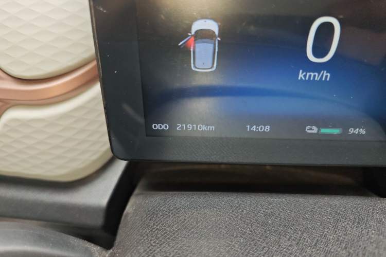Used SOL E10X 2021 302 km Range Fashion Edition 31.4 kWh Odometer Close Up