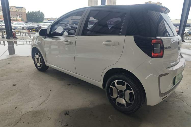 Used SOL E10X 2021 302 km Range Ultra-Advanced Version 31.4 kWh Rear Left 45 Deg
