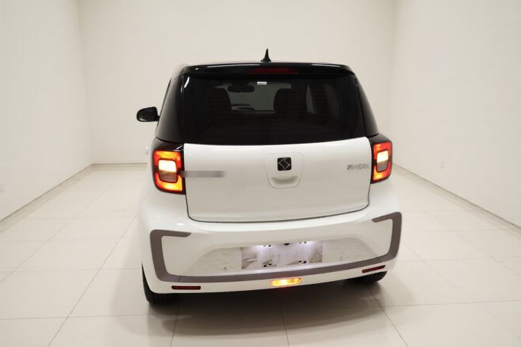 Used SOL E10X 2021 302 km Range Fashion Edition 31.4 kWh Rear