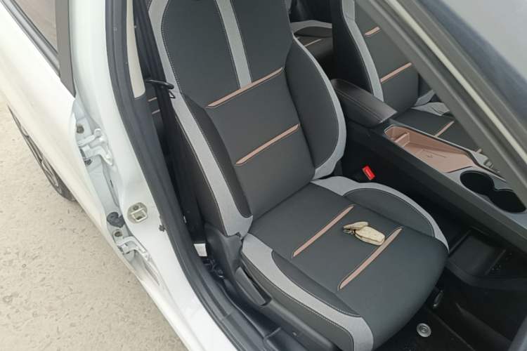 Used SOL E10X 2021 302 km Range Luxury Version 31.4 kWh Right Front Seat