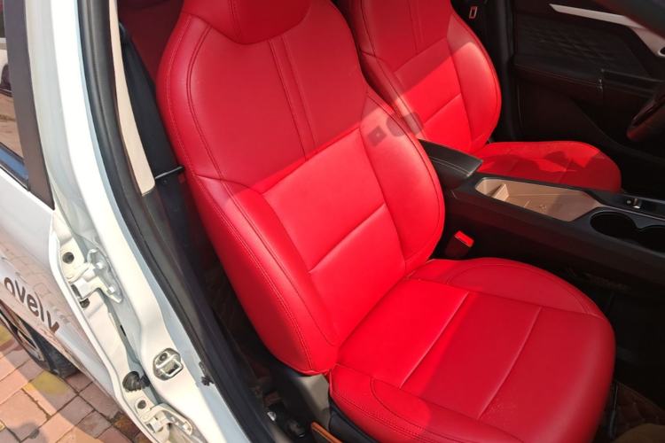 Used SOL E10X 2021 302 km Range Fashion Edition 30.2 kWh Right Front Seat