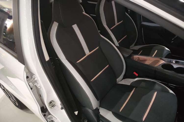 Used SOL E10X 2021 302 km Range Fashion Edition 31.4 kWh Right Front Seat