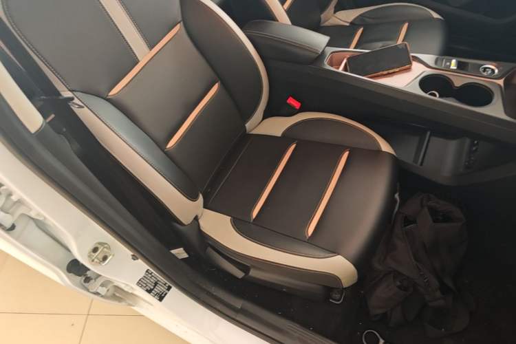 Used SOL E10X 2021 Jimei Edition 302km Luxury Model Right Front Seat