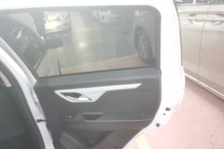 Used SOL E10X 2021 Jimei Edition 302km Fashionable Model Right Rear Door Interior