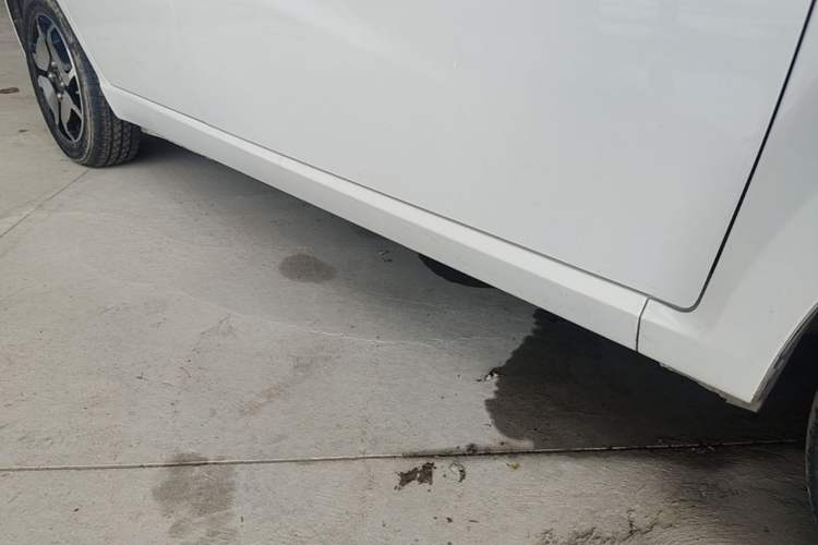 Used SOL E10X 2021 302 km Range Ultra-Advanced Version 31.4 kWh Right Side Sill