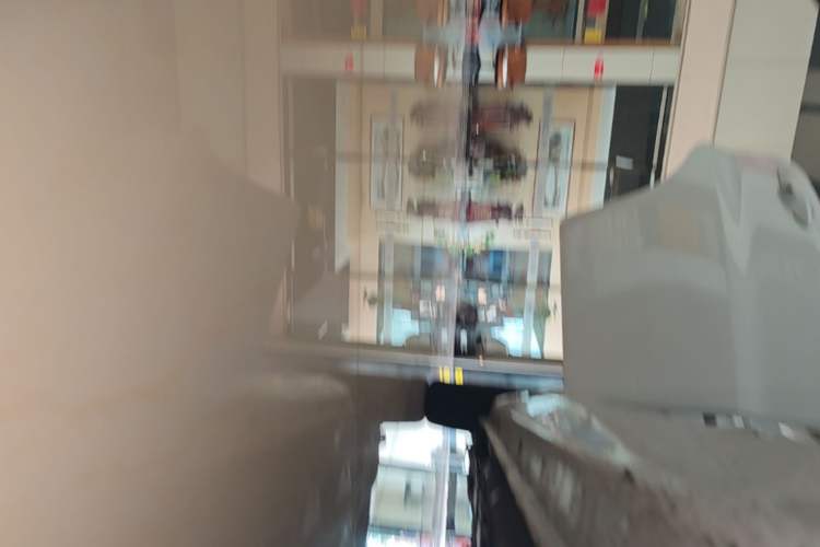 Used SOL E10X 2021 Jimei Edition 302km Luxury Model Right Side Sill