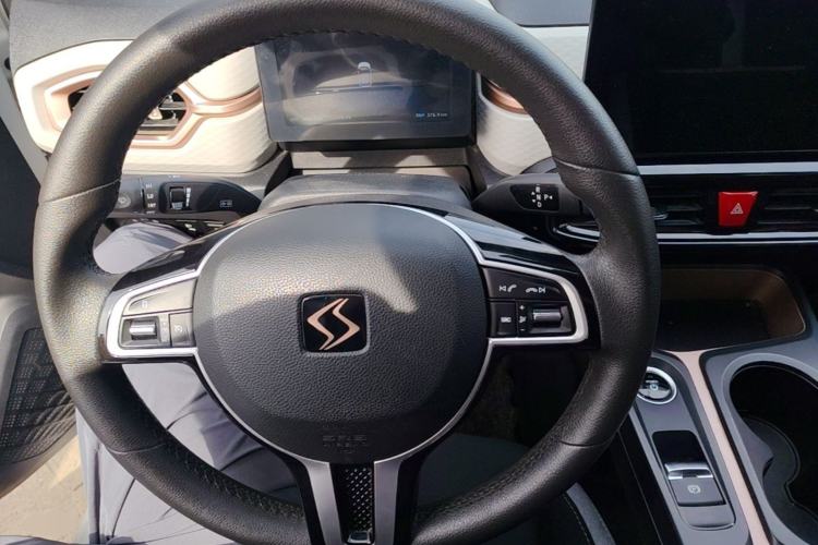 Used SOL E10X 2021 302 km Range Fashion Edition 31.4 kWh Steering Wheel