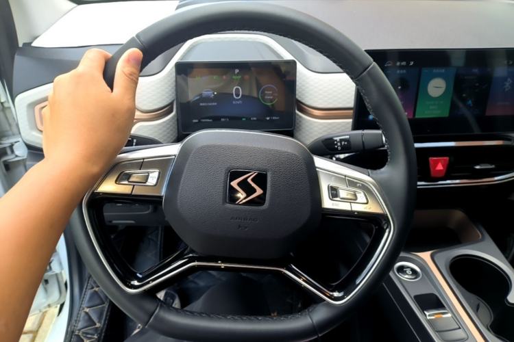 Used SOL E10X 2021 302 km Range Luxury Version 31.4 kWh Steering Wheel
