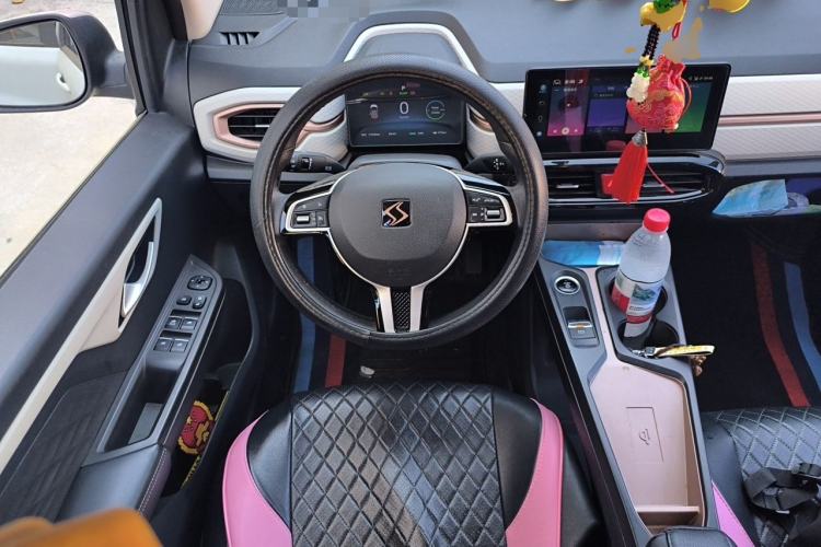 Used SOL E10X 2021 302 km Range Luxury Version 31.4 kWh Steering Wheel