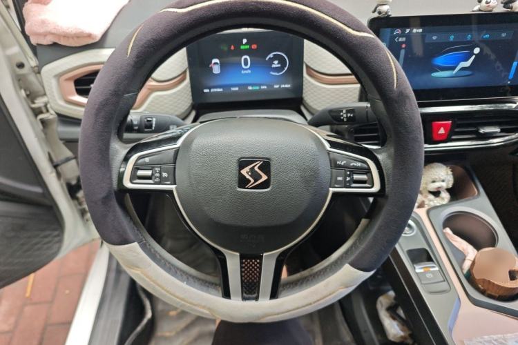 Used SOL E10X 2021 302 km Range Fashion Edition 31.4 kWh Steering Wheel