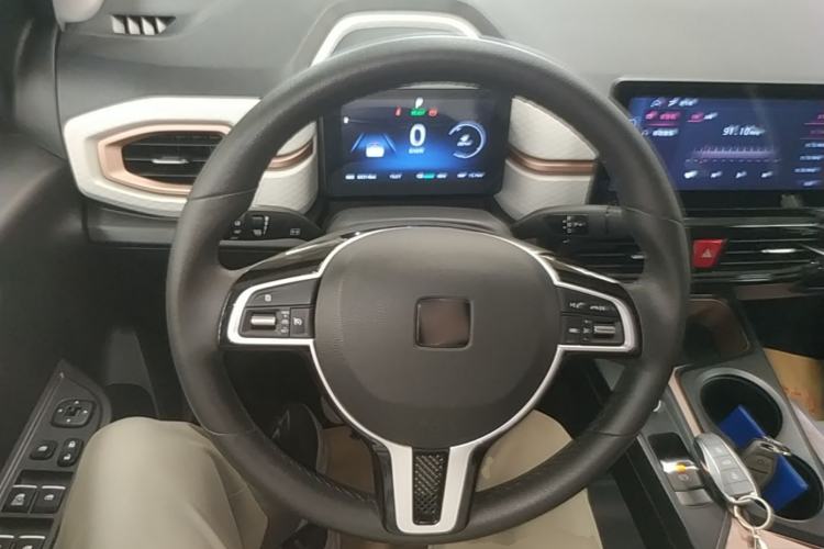 Used SOL E10X 2021 302 km Range Fashion Edition 31.4 kWh Steering Wheel
