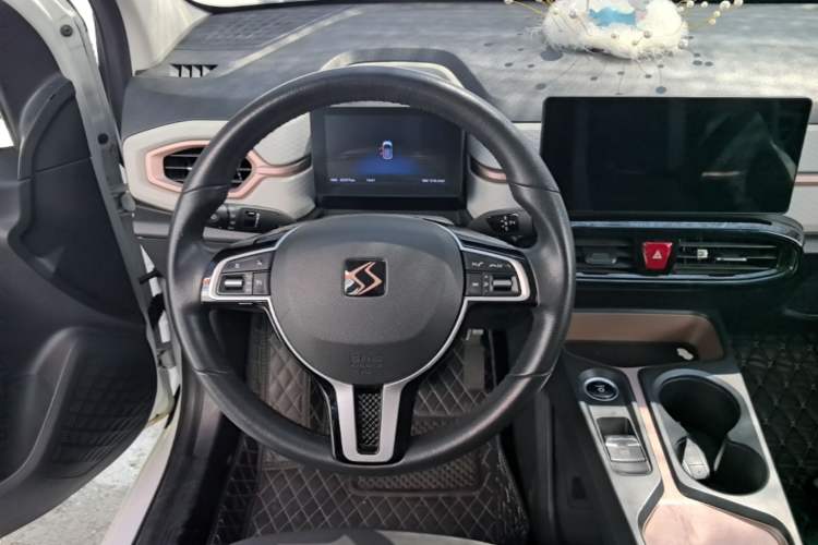 Used SOL E10X 2021 302 km Range Luxury Version 31.4 kWh Steering Wheel